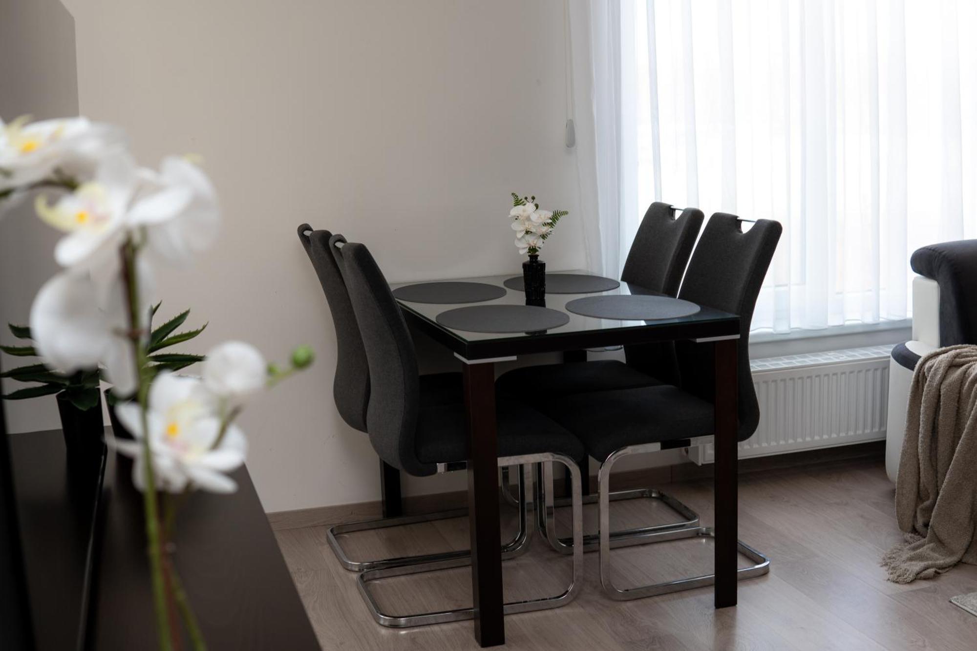 Bnb New Beautiful Apartment In The Center Of Ostrava With Option Garage Parking Exterior photo